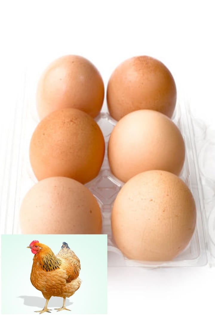 Egg(6pcs ডিম)