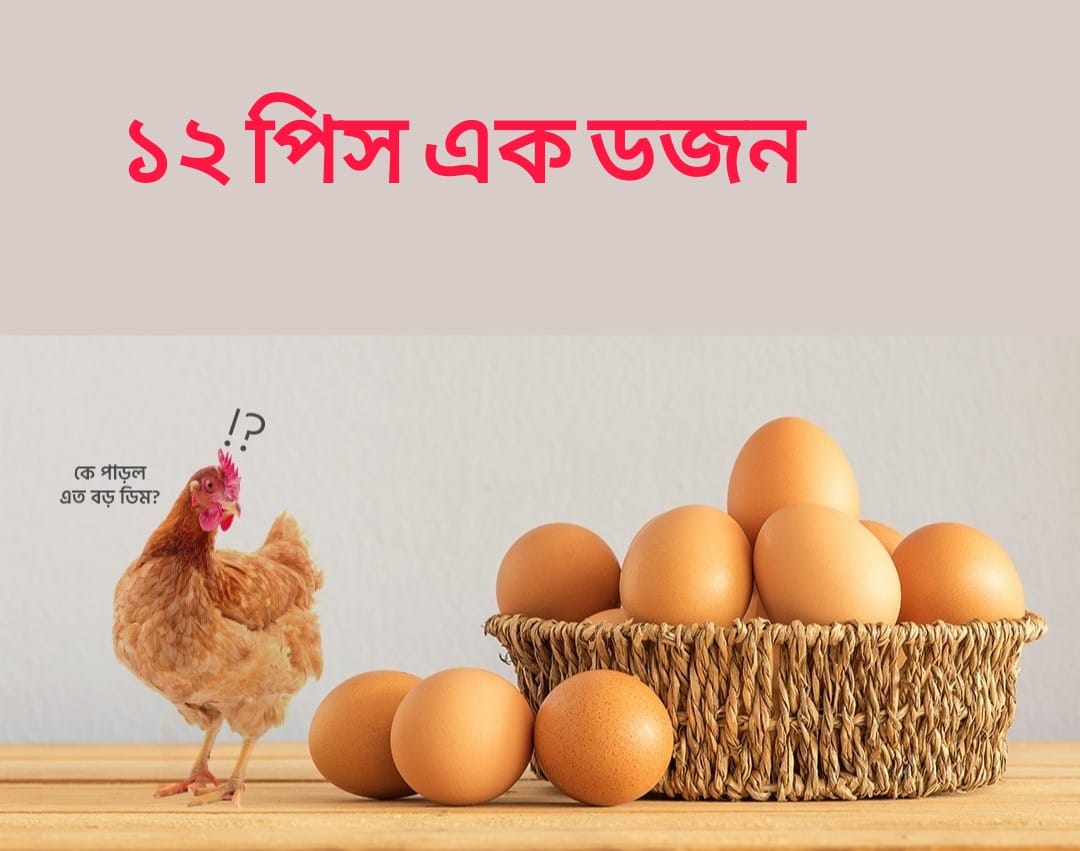 Egg(12pcs ডিম)