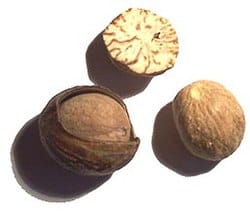 nutmeg(1pcsজায়ফল)