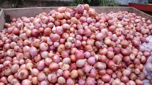 Onion(500gmপেঁয়াজ)