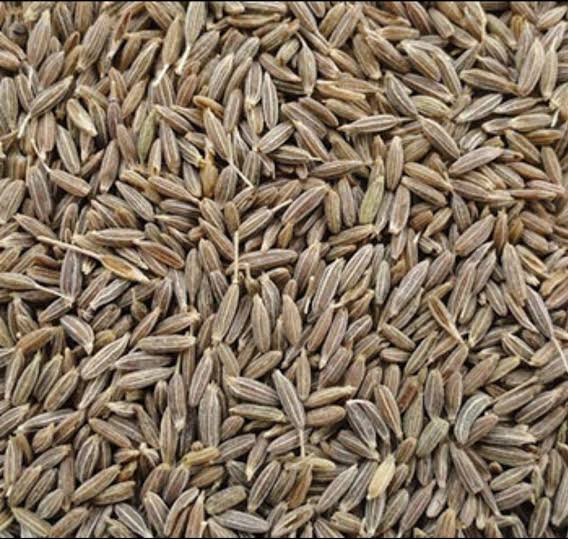 Tiger Special Indian Cumin(500gm টাইগার স্পেশাল ইন্ডিয়ান জিরা)