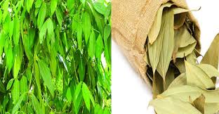 bay leaf(100gm তেজপাতা)